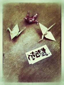 iphone fotos PAN nov 2014 108