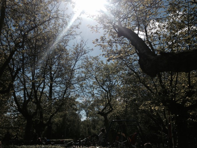 2017-09-22 12.00.11-1